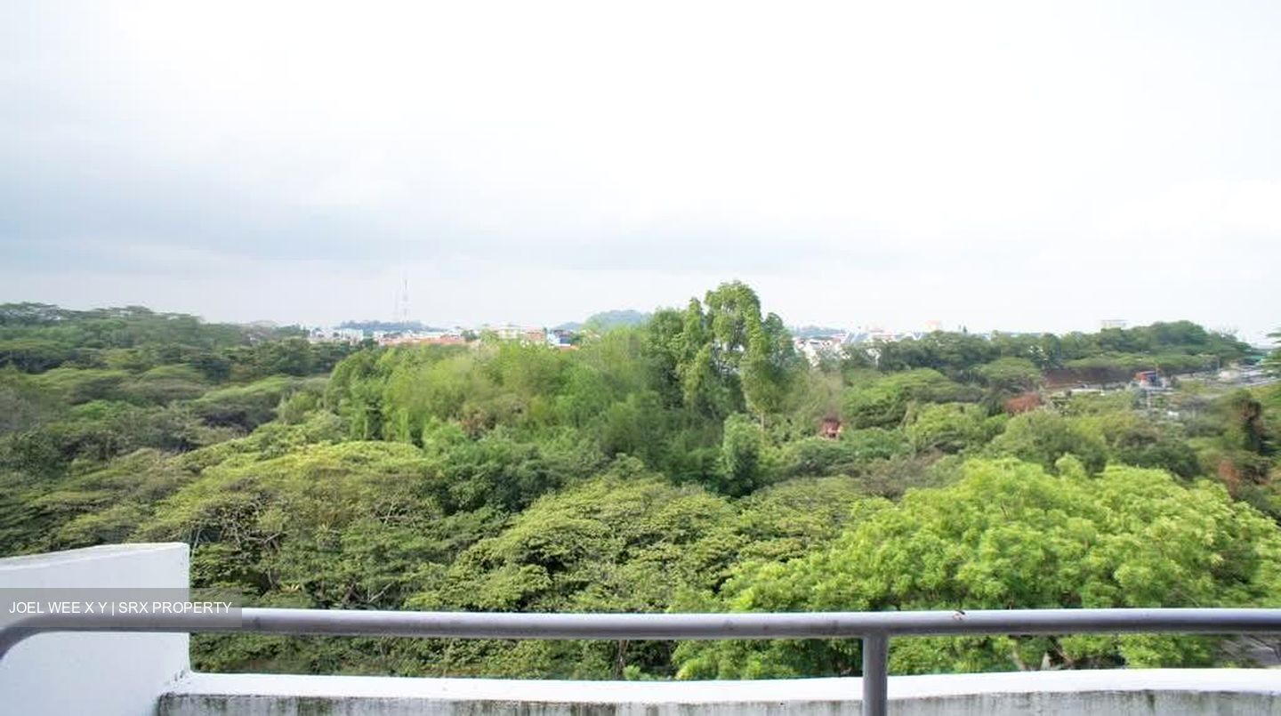Clementi Park (D21), Condominium #567872301